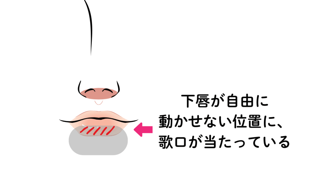 下唇と楽器の関係図