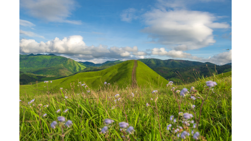 自然のイメージ